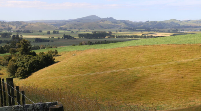 Wairarapa contains some of the driest soils compared nationally. PHOTO/FILE